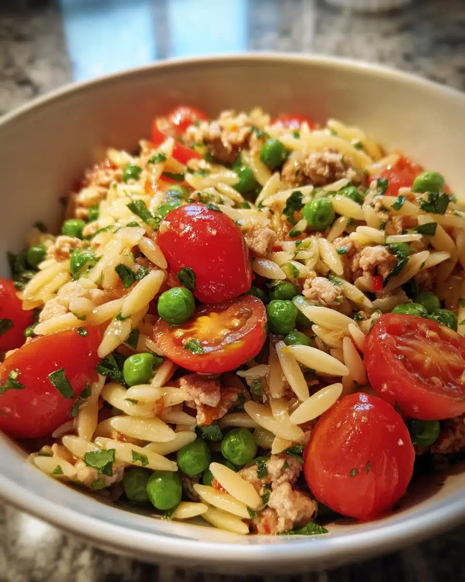One-Pot Ground Turkey Orzo Recipe – Easy Family Dinner Ready Fast