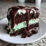 Grasshopper Earthquake Cake — Minty, Chocolatey & Impossibly Gooey