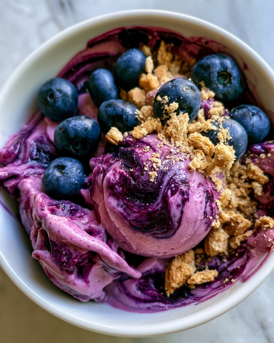Blueberry Cheesecake Frozen Yogurt
